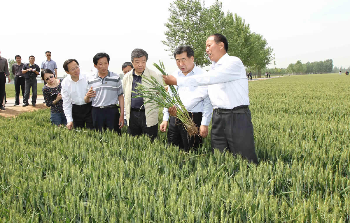 原國務(wù)院副總理回良玉、農(nóng)業(yè)農(nóng)村部部長韓長賦在原河南省委書記盧展工陪同下蒞臨金蕾種苗種子繁育基地視察